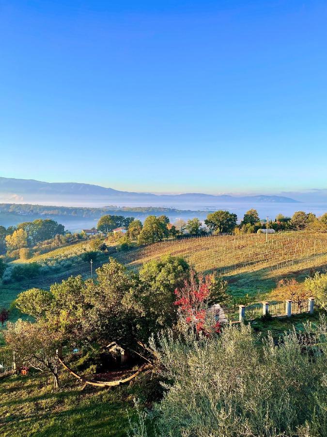 Donna Vittori - Borgo Agricolo Aparthotel Paliano ภายนอก รูปภาพ