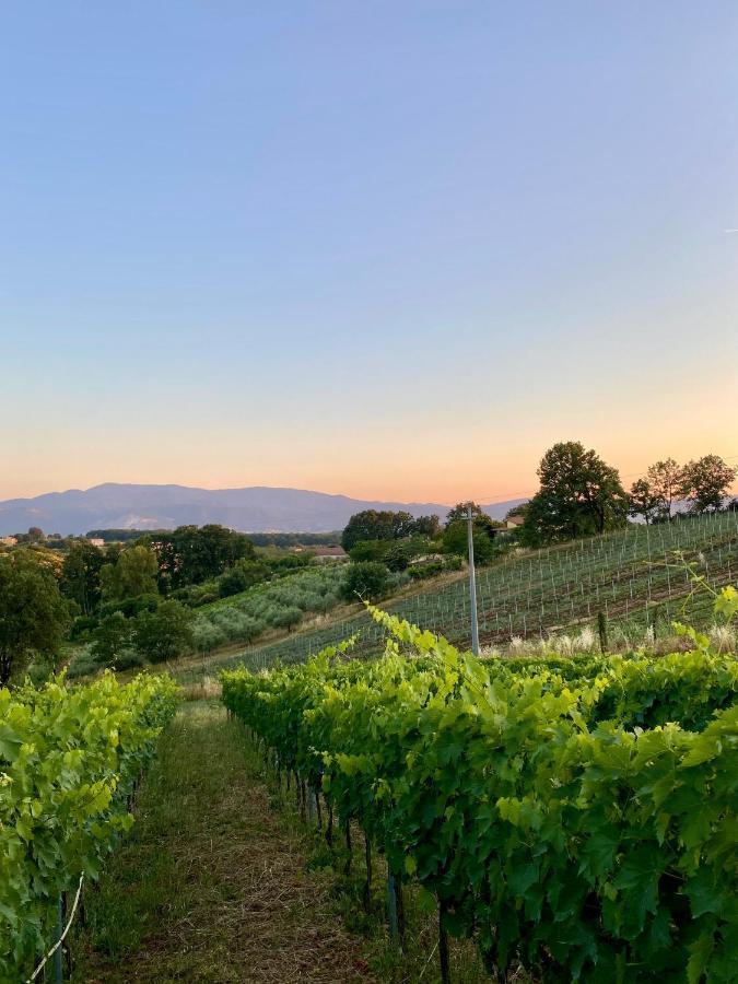 Donna Vittori - Borgo Agricolo Aparthotel Paliano ภายนอก รูปภาพ