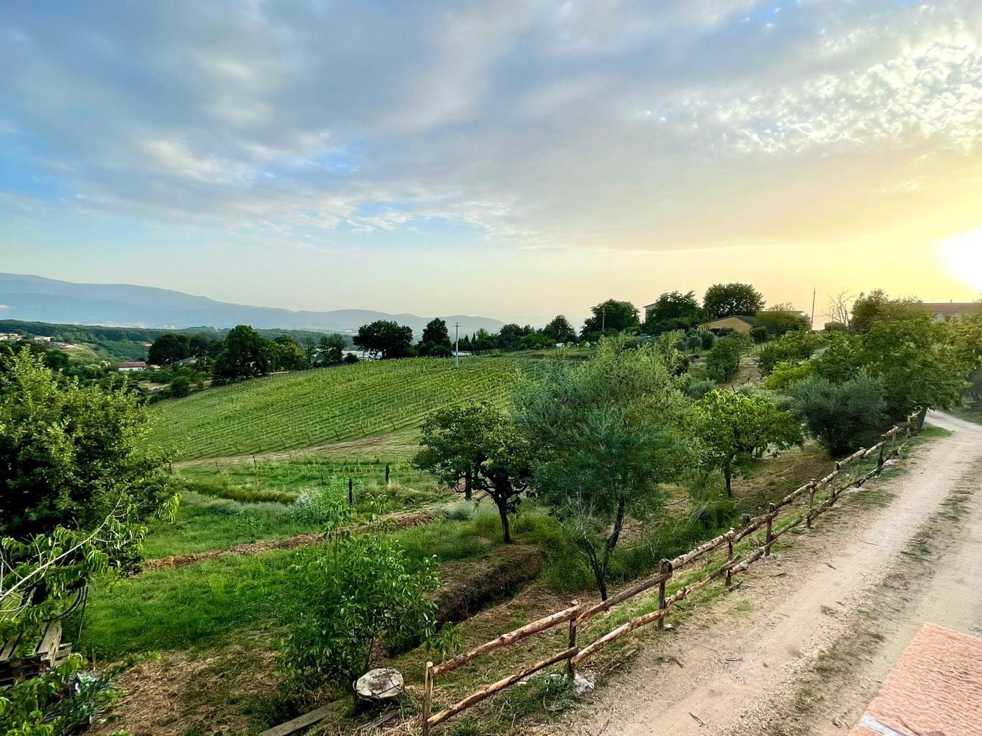 Donna Vittori - Borgo Agricolo Aparthotel Paliano ภายนอก รูปภาพ